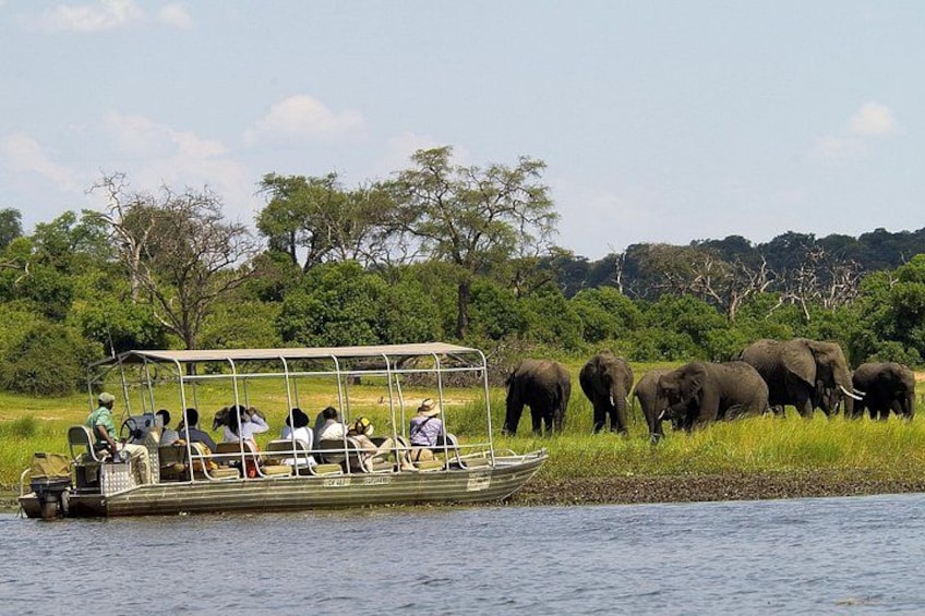 Safari Boat on Chobe River 1