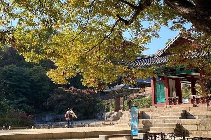 Seoul City Full Day Tour - Changdeok Palace (wearing Hanbok) 2