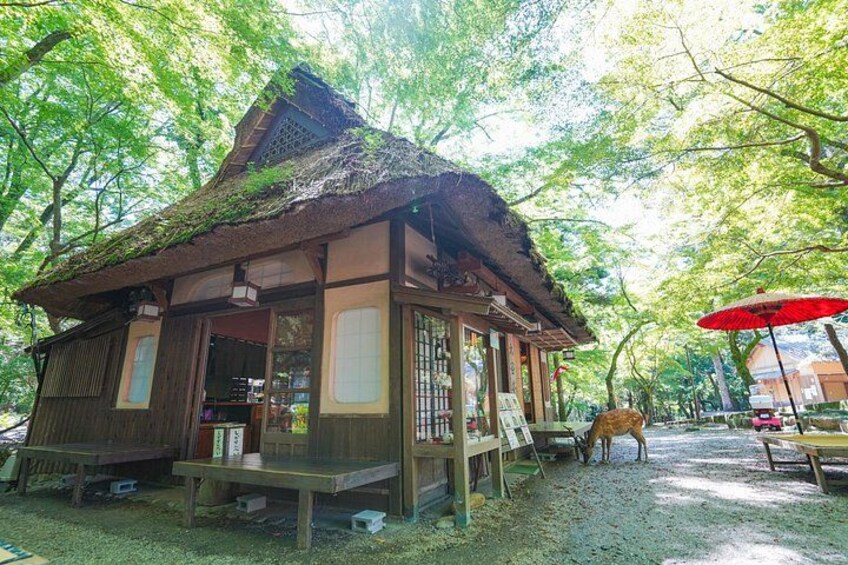 A traditional wooden structure with a thatched roof, surrounded by trees. 4