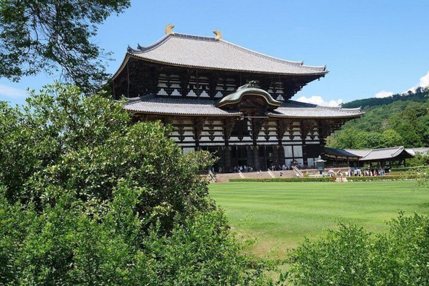 Nara Half Day Trip Walking Tour (Private Option Available) 5