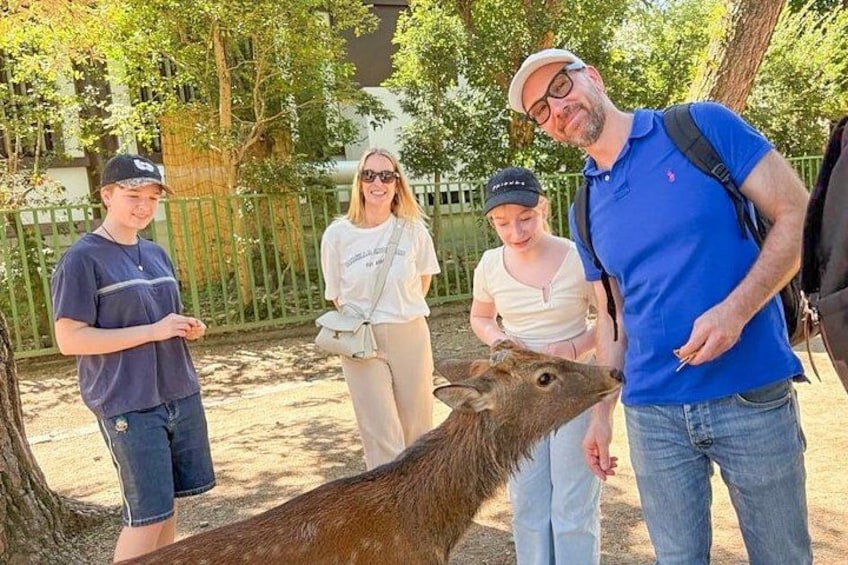 Nara Half Day Trip Walking Tour (Private Option Available) 2