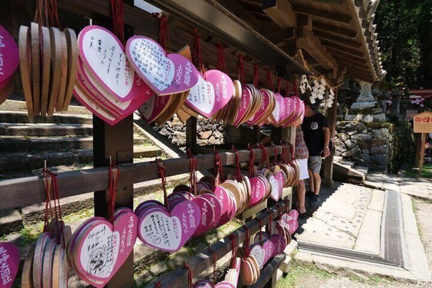 Nara Half Day Trip Walking Tour (Private Option Available) 3