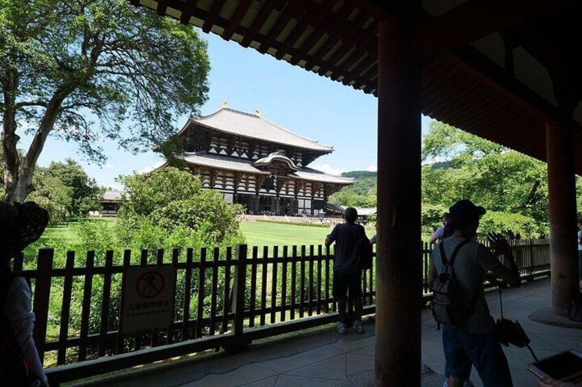 Nara Half Day Trip Walking Tour (Private Option Available) 5