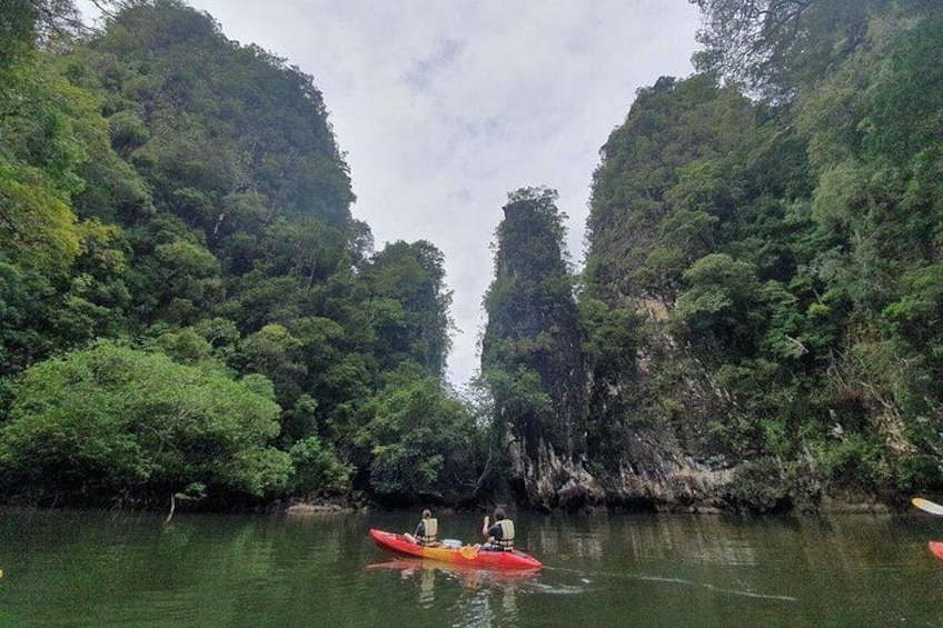 A river surrounded by dense forest and cliffs. 1