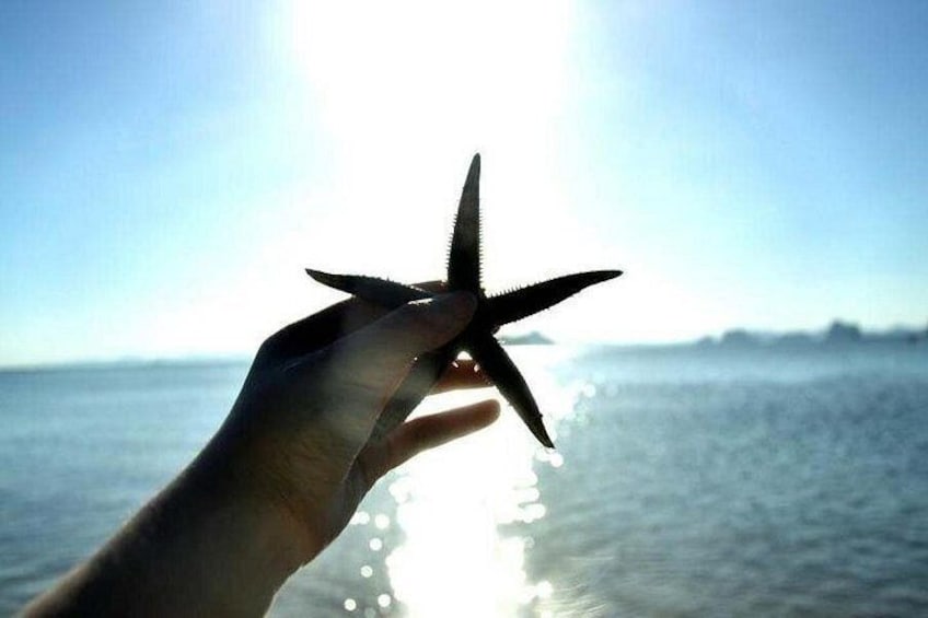 Una mano che tiene una stella marina sullo sfondo di un mare calmo e un cielo sereno. 3