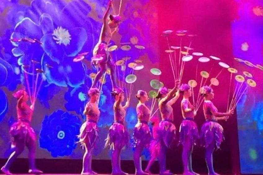 Chaoyang Acrobatics 3