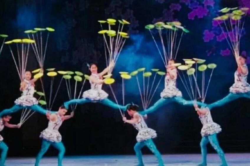 Chaoyang Acrobatics 4