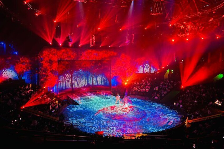 A stage with a forest-themed backdrop and vibrant lighting. 3