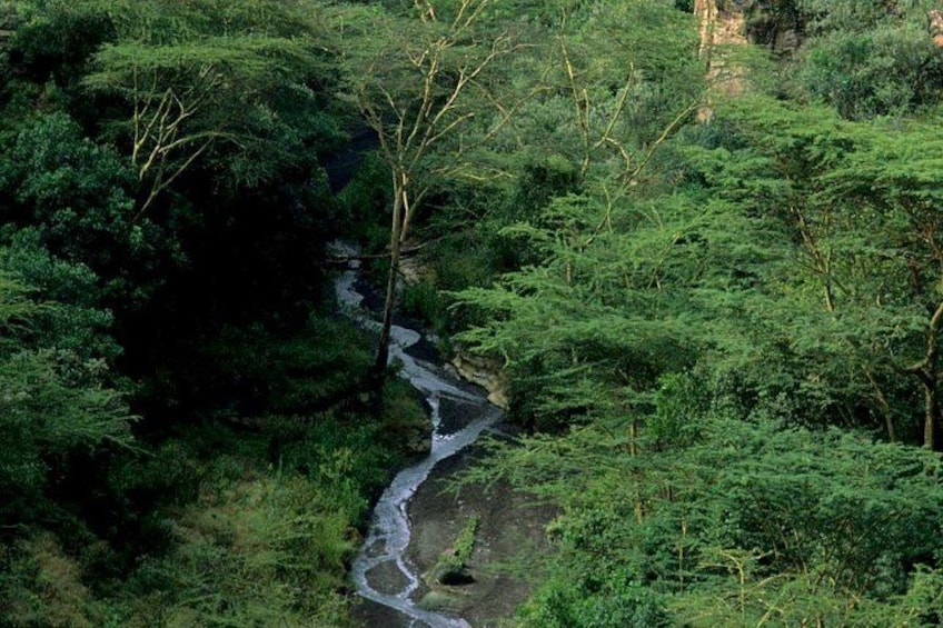 A winding river through a dense forest. 3