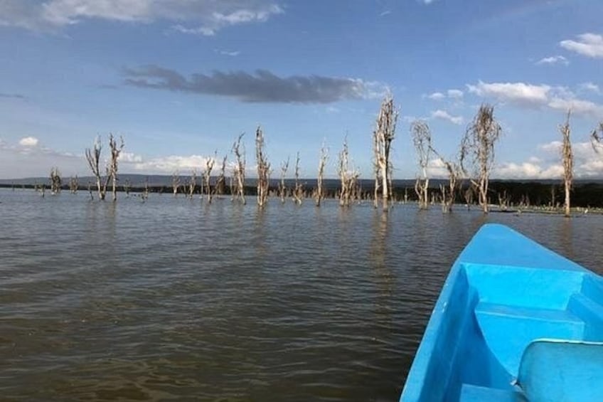 A body of water with leafless trees in the distance and a blue boat in the foreground. 2