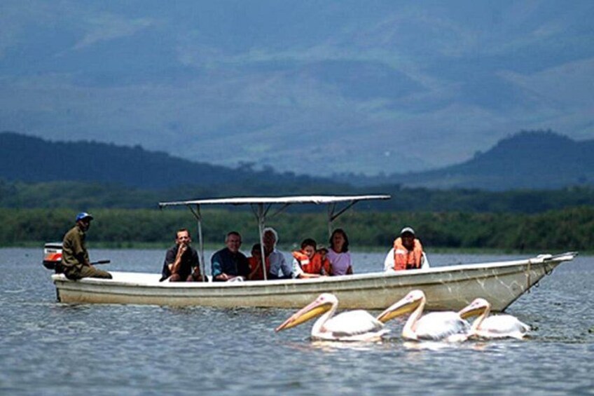 Small Group Budget Tour to Hells Gate National Park and Lake Naivasha Boat Ride 5