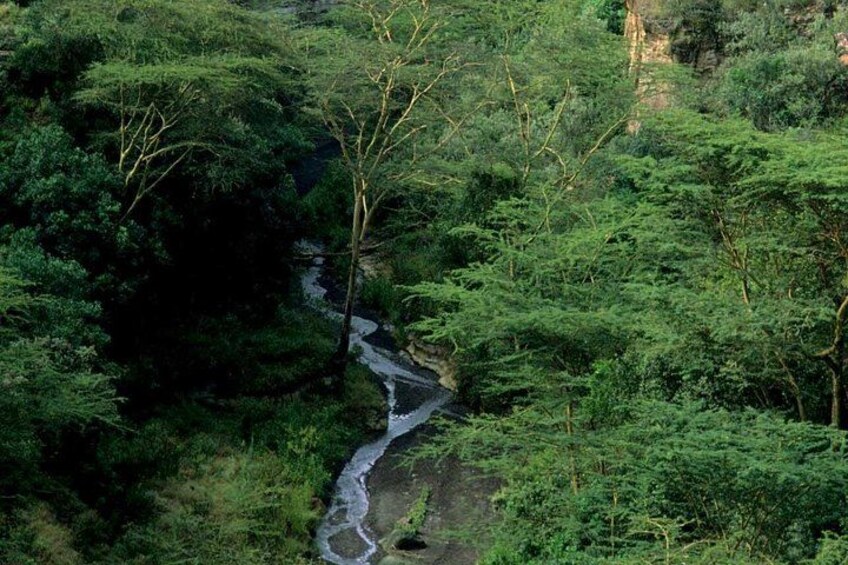 Small Group Budget Tour to Hells Gate National Park and Lake Naivasha Boat Ride 4