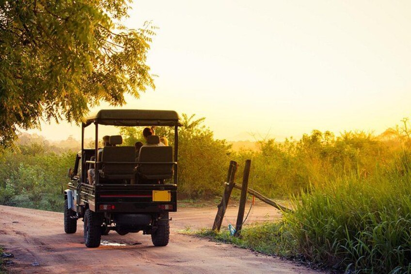 A jeep on a dirt road with a person in the back, surrounded by greenery and a wooden fence. 3