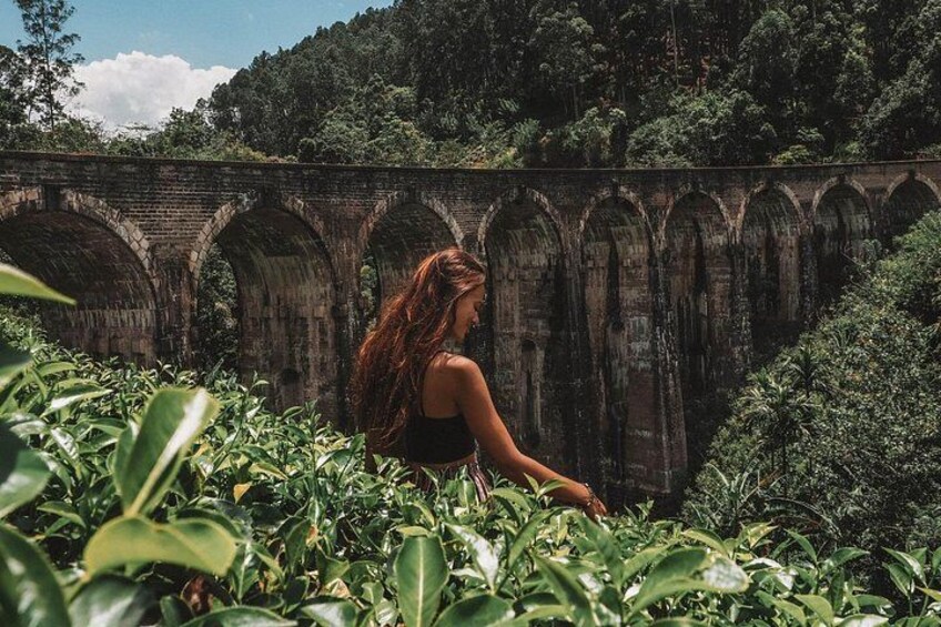 Day Excursions to Horton Plains & Local Train Experience from Ella 1