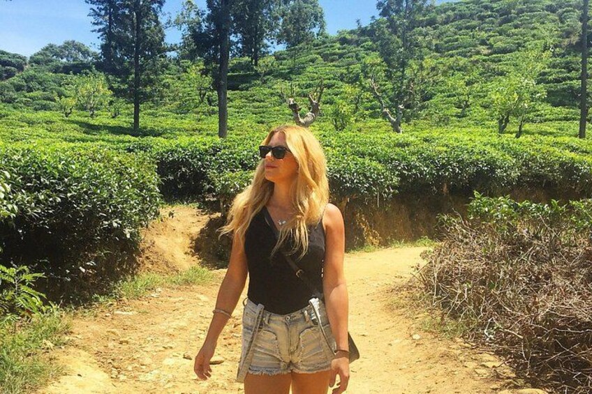 Day Excursions to Horton Plains & Local Train Experience from Ella 3