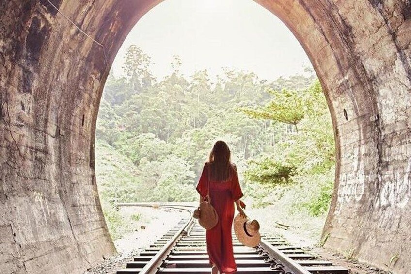 Day Excursions to Horton Plains & Local Train Experience from Ella 2