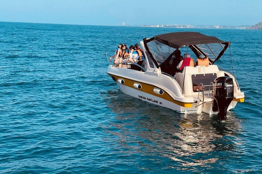 Whale Watching From Colombo 1