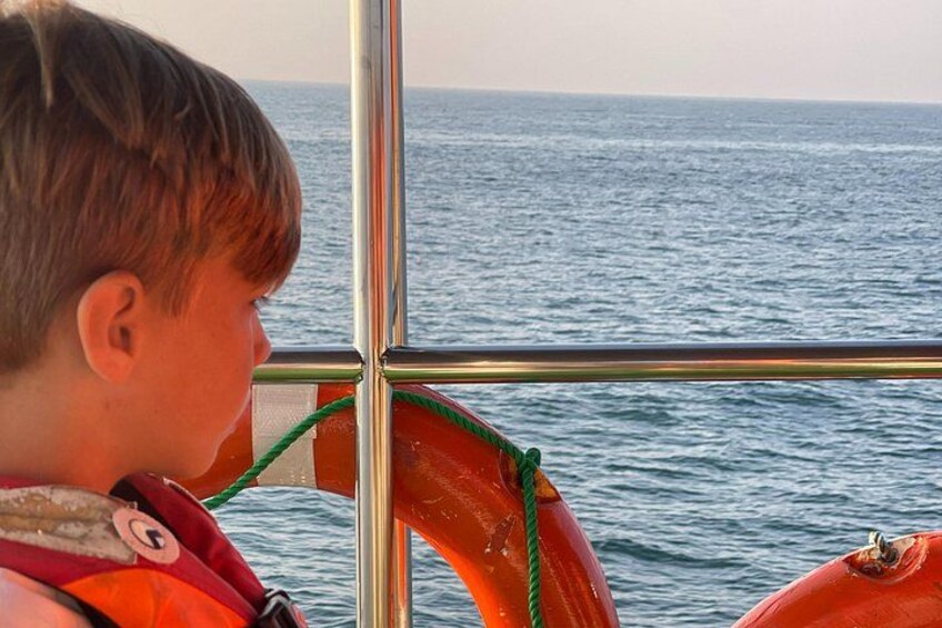 Whale Watching From Colombo 3