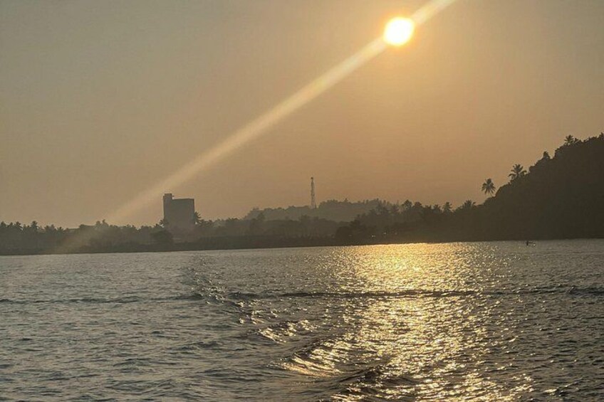 Whale Watching From Colombo 2