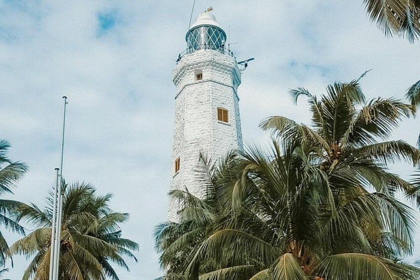 A white lighthouse with a green top, surrounded by palm trees. 5