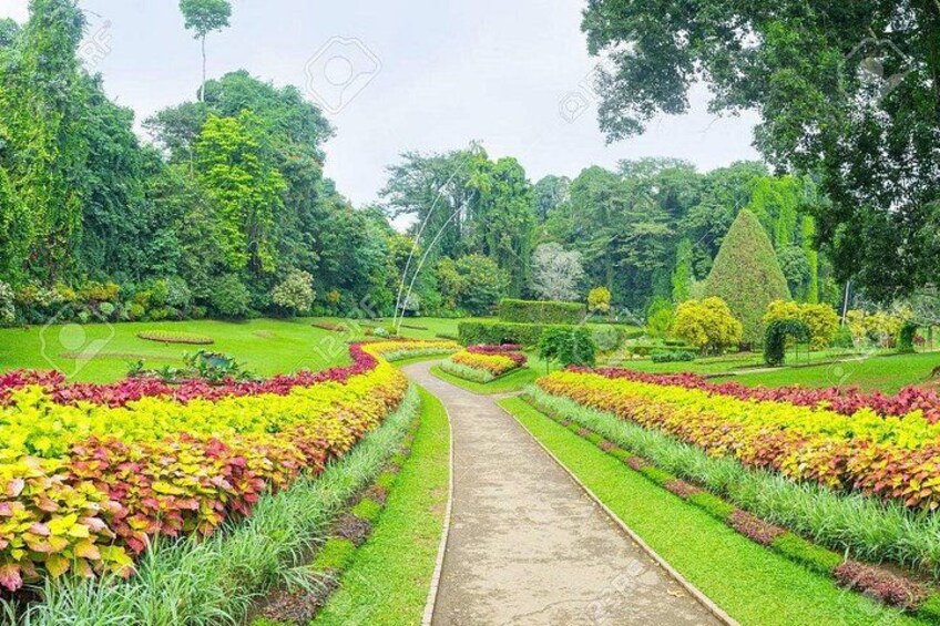 Botanical Garden Kandy,Sri Lanka 5