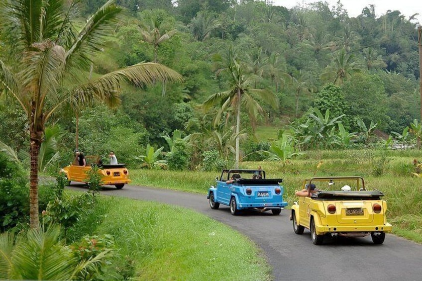 Ubud VW Safari Bali Tour 13 2