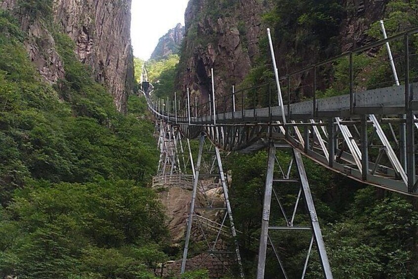 All inclusive Huangshan summit 1 day private tour-No shopping 3