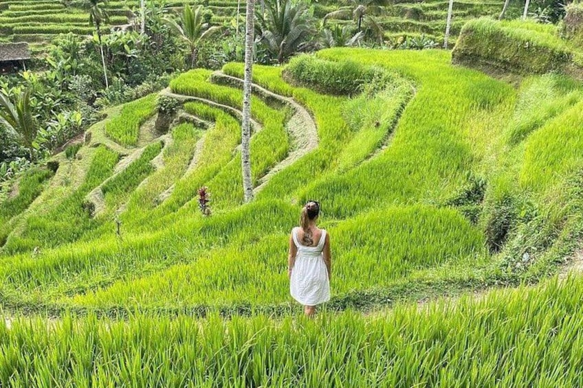 Una donna con un abito bianco in piedi su un campo di riso a terrazze, circondato da vegetazione lussureggiante e con un cielo sereno. 2