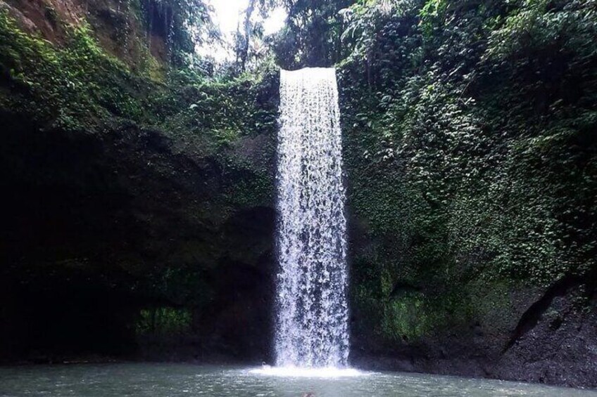 Ubud Waterfalls, Rice Terrace and Swing tour