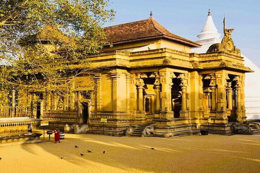 Private-Night-Tour-In-Colombo-By-Sigiritrip-Tours-Sri-Lanka-10 2