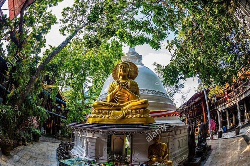 Private-Night-Tour-In-Colombo-By-Sigiritrip-Tours-Sri-Lanka-6 3