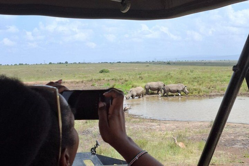 A person taking a photo of rhinoceroses drinking water. 4