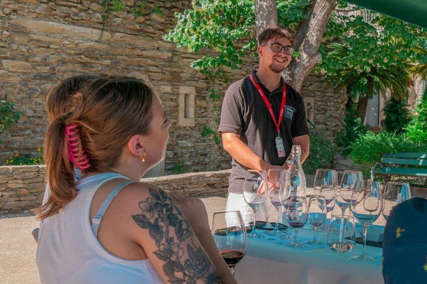 Private Douro Valley Wine Tour: 2 Wine Estates, Lunch and Cruise 4