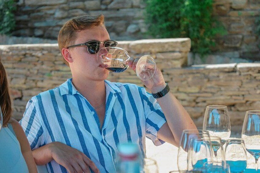 Private Douro Valley Wine Tour: 2 Wine Estates, Lunch and Cruise 5