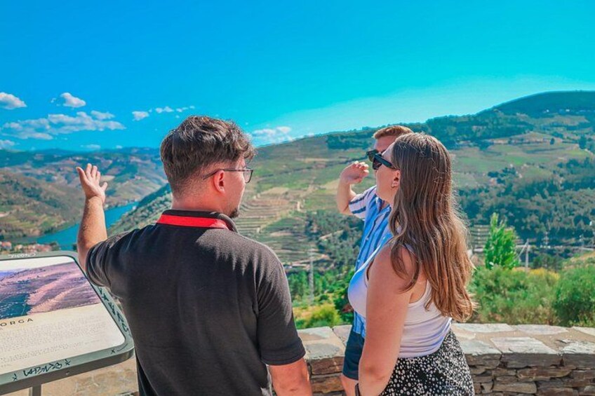Private Douro Valley Wine Tour: 2 Wine Estates, Lunch and Cruise 2
