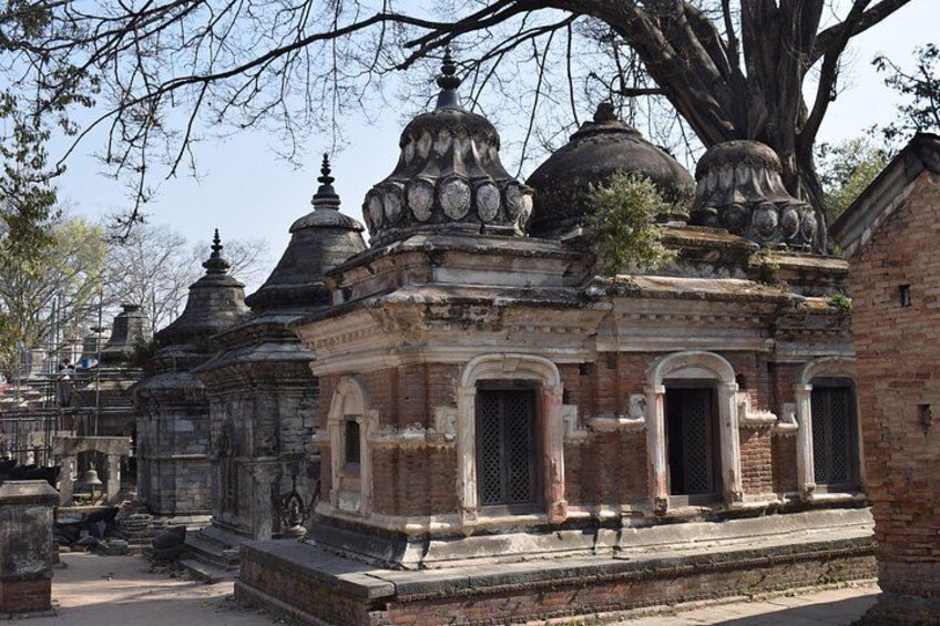 A temple with domed roofs and a large tree in the background. 2