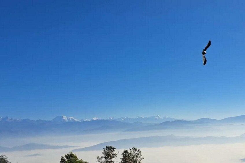 CLear Sky View 4