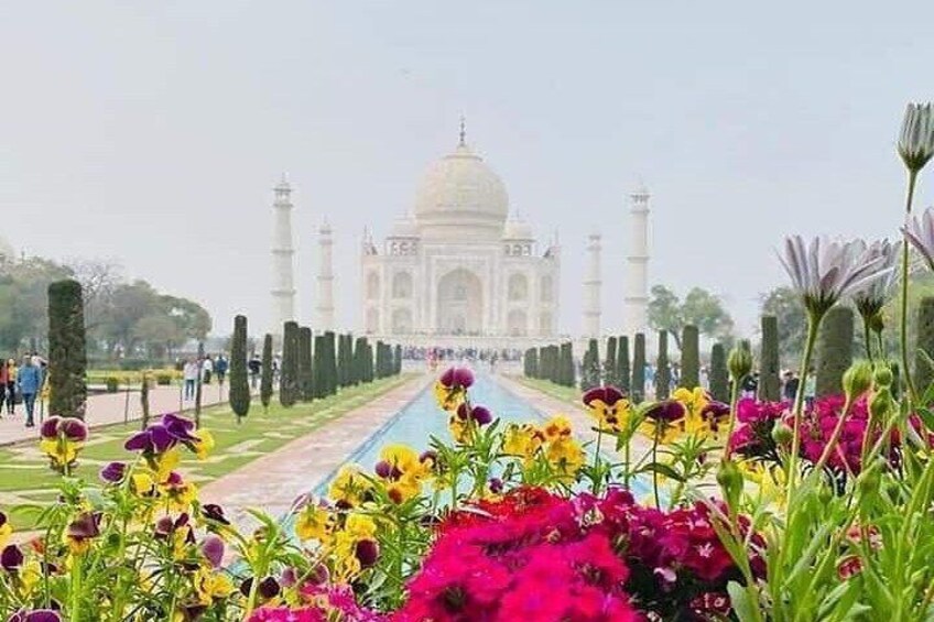 The Taj Mahal with a garden path and colorful flowers in the foreground. 2