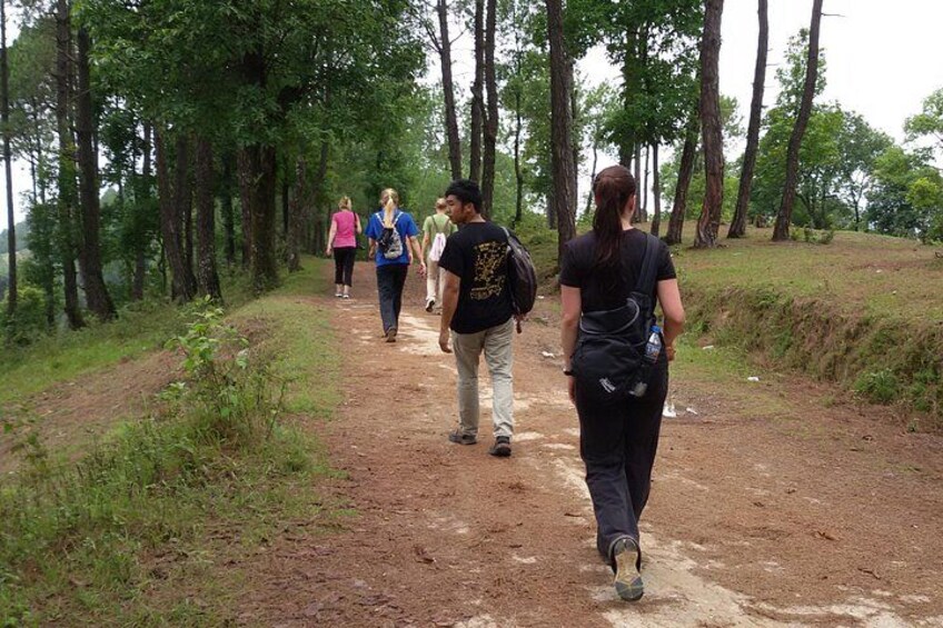A group of people walking on a dirt path surrounded by trees. 4