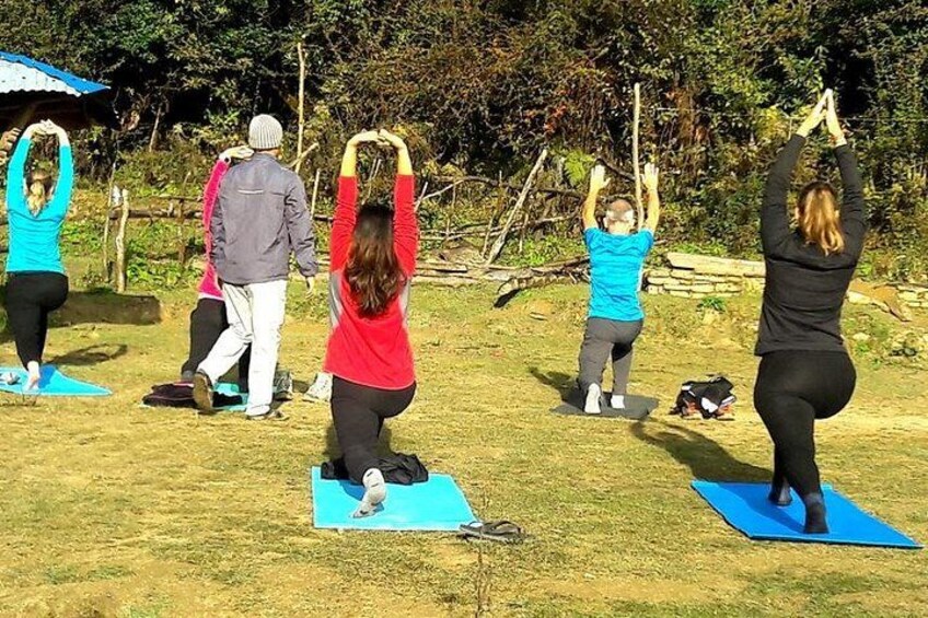A group of people performing yoga outdoors on blue mats. 3