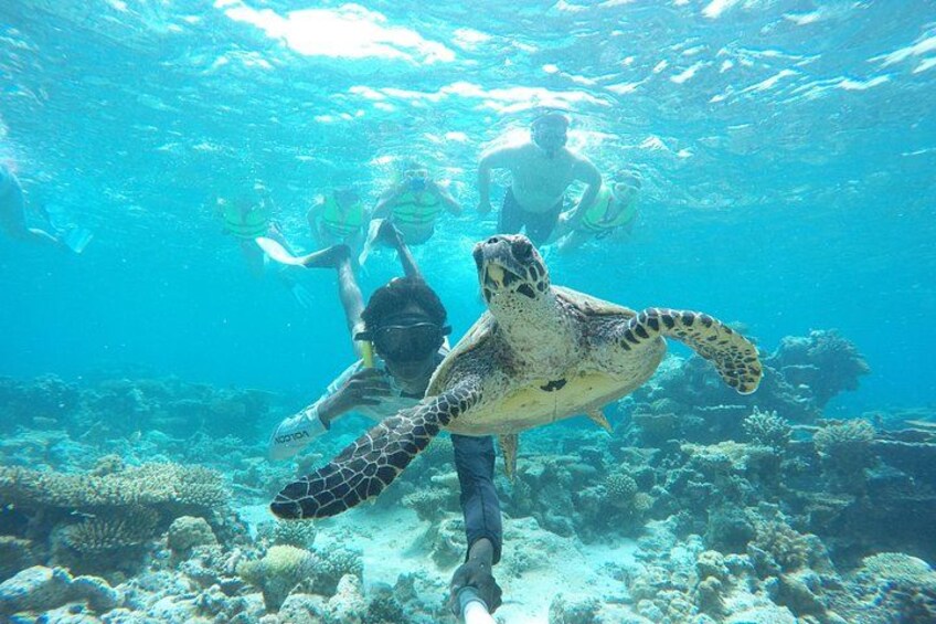 Snorkelling 1
