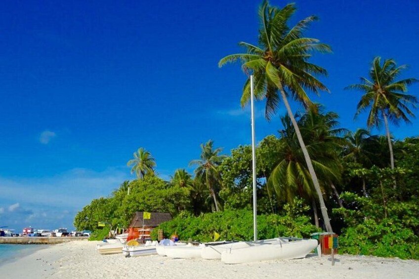 Eco Tour Villimale 1