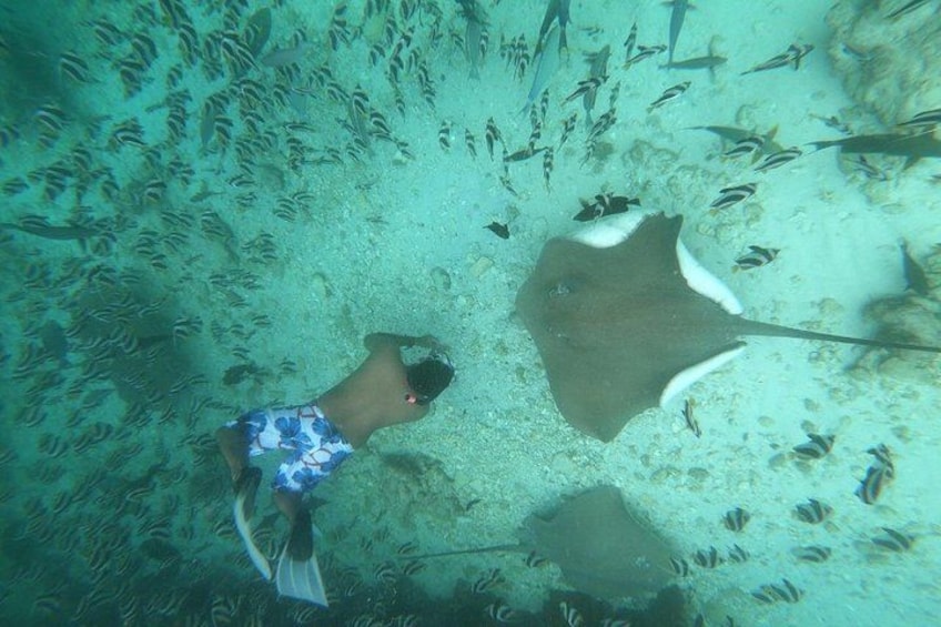 Snorkeling in the Maldives 4