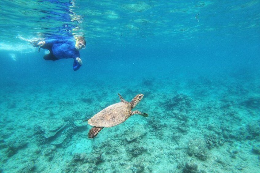 Snorkeling in the Maldives 1