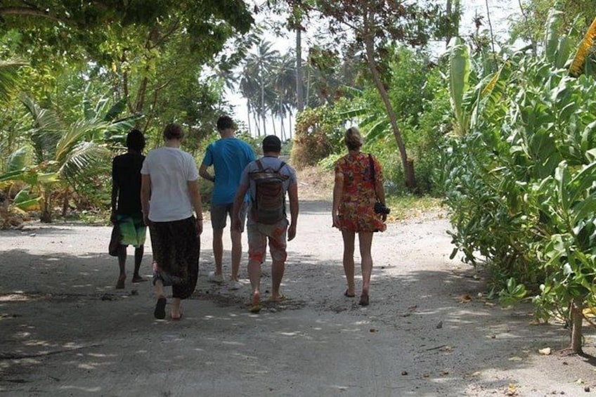 Un groupe de personnes marchant sur un sentier de terre, entouré d’une végétation tropicale. 4