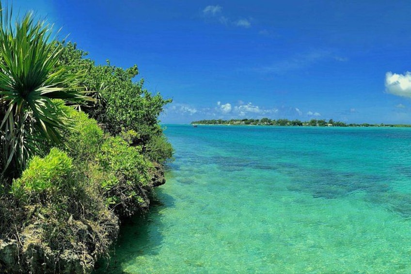 A clear turquoise sea, a rocky shoreline with dense vegetation, and a distant island. 1