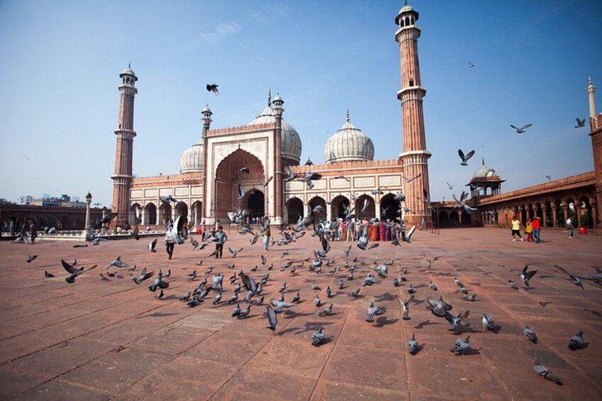 Old & New Delhi City Tour – Half or Full Day Options Available 2