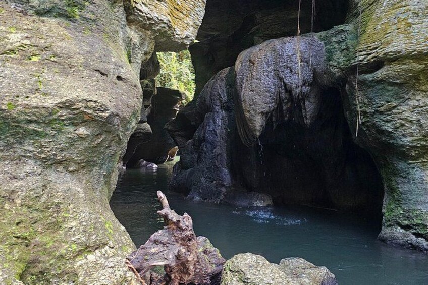 A cave with water, rocks, and moss. 3