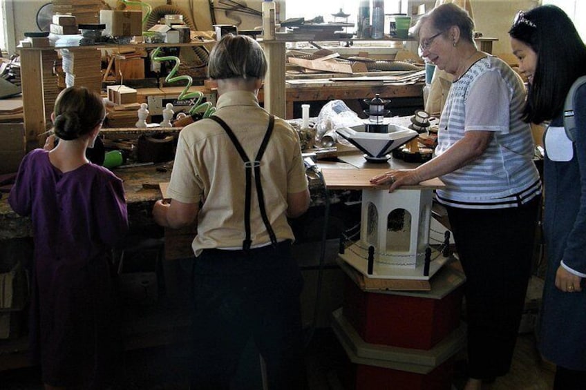 Amish Experience Visit-In-Person Tour 3
