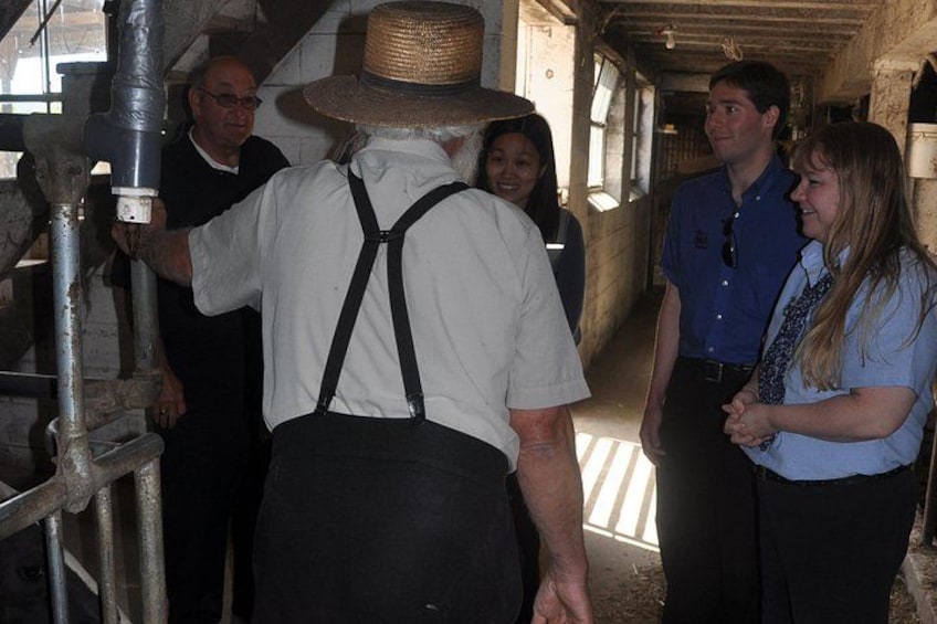 Amish Experience Visit-In-Person Tour 2